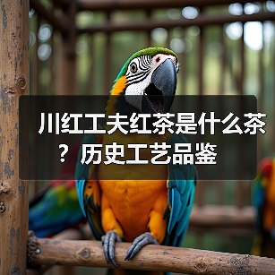 川红工夫红茶是什么茶?历史工艺品鉴(图1) 川红工夫红茶是什么茶?历史工艺品鉴(图1)