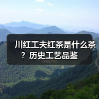 川红工夫红茶是什么茶?历史工艺品鉴(图4) 川红工夫红茶是什么茶?历史工艺品鉴(图4)