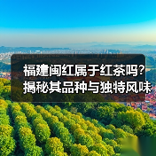 福建闽红属于红茶吗?揭秘其品种与独特风味(图1) 福建闽红属于红茶吗?揭秘其品种与独特风味(图1)