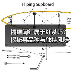 福建闽红属于红茶吗?揭秘其品种与独特风味(图4) 福建闽红属于红茶吗?揭秘其品种与独特风味(图4)