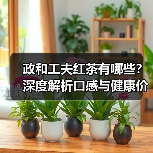 政和工夫红茶有哪些?深度解析口感与健康价值(图3) 政和工夫红茶有哪些?深度解析口感与健康价值(图3)
