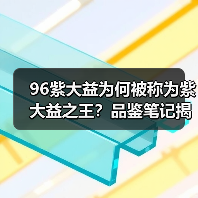 96紫大益为何被称为紫大益之王?品鉴笔记揭秘其品质与潜力!(图1) 96紫大益为何被称为紫大益之王?品鉴笔记揭秘其品质与潜力!(图1)