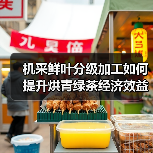 机采鲜叶分级加工如何提升烘青绿茶经济效益?(图1) 机采鲜叶分级加工如何提升烘青绿茶经济效益?(图1)