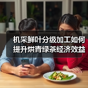 机采鲜叶分级加工如何提升烘青绿茶经济效益?(图3) 机采鲜叶分级加工如何提升烘青绿茶经济效益?(图3)