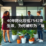 40年陈化厚纸7542老生茶,为何被称为“厚纸88青”?(图1) 40年陈化厚纸7542老生茶,为何被称为“厚纸88青”?(图1)
