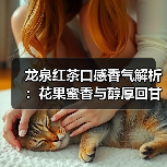 龙泉红茶口感香气解析:花果蜜香与醇厚回甘如何品鉴(图2) 龙泉红茶口感香气解析:花果蜜香与醇厚回甘如何品鉴(图2)