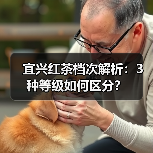 宜兴红茶档次解析:3种等级如何区分?(图4) 宜兴红茶档次解析:3种等级如何区分?(图4)