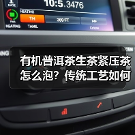 有机普洱茶生茶紧压茶怎么泡？传统工艺如何成就醇厚口感？（图1）