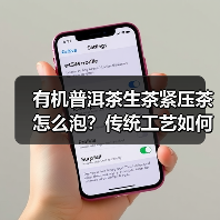 有机普洱茶生茶紧压茶怎么泡？传统工艺如何成就醇厚口感？（图4）