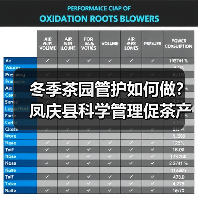 冬季茶园管护如何做?凤庆县科学管理促茶产业升级(图4) 冬季茶园管护如何做?凤庆县科学管理促茶产业升级(图4)