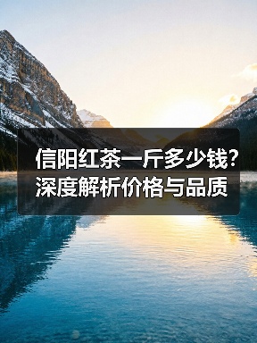 信阳红茶一斤多少钱?深度解析价格与品质(图3) 信阳红茶一斤多少钱?深度解析价格与品质(图3)