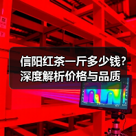 信阳红茶一斤多少钱?深度解析价格与品质(图4) 信阳红茶一斤多少钱?深度解析价格与品质(图4)