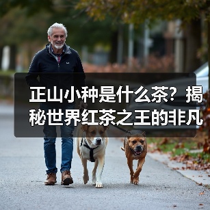 正山小种是什么茶?揭秘世界红茶之王的非凡魅力(图2) 正山小种是什么茶?揭秘世界红茶之王的非凡魅力(图2)