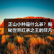 正山小种是什么茶?揭秘世界红茶之王的非凡魅力(图3) 正山小种是什么茶?揭秘世界红茶之王的非凡魅力(图3)