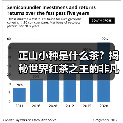 正山小种是什么茶?揭秘世界红茶之王的非凡魅力(图4) 正山小种是什么茶?揭秘世界红茶之王的非凡魅力(图4)