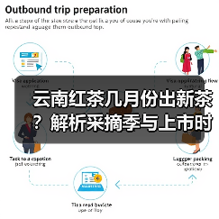 云南红茶几月份出新茶?解析采摘季与上市时间(图2) 云南红茶几月份出新茶?解析采摘季与上市时间(图2)