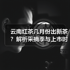 云南红茶几月份出新茶?解析采摘季与上市时间(图4) 云南红茶几月份出新茶?解析采摘季与上市时间(图4)
