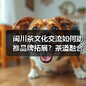 闽川茶文化交流如何助推品牌拓展？茶道融合引热议（图1）
