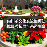 闽川茶文化交流如何助推品牌拓展？茶道融合引热议（图4）