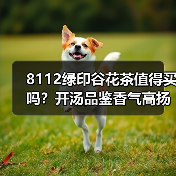 8112绿印谷花茶值得买吗?开汤品鉴香气高扬(图4) 8112绿印谷花茶值得买吗?开汤品鉴香气高扬(图4)