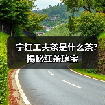 宁红工夫茶是什么茶?揭秘红茶瑰宝(图2) 宁红工夫茶是什么茶?揭秘红茶瑰宝(图2)