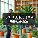 宁红工夫茶是什么茶?揭秘红茶瑰宝(图3) 宁红工夫茶是什么茶?揭秘红茶瑰宝(图3)