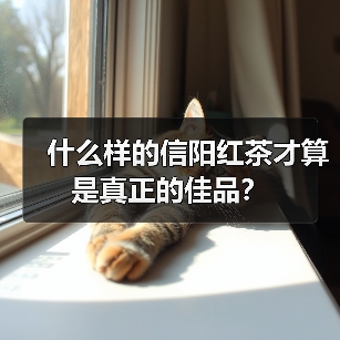 什么样的信阳红茶才算是真正的佳品?(图2) 什么样的信阳红茶才算是真正的佳品?(图2)