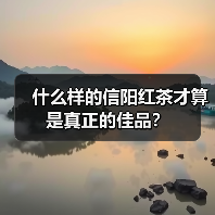 什么样的信阳红茶才算是真正的佳品?(图3) 什么样的信阳红茶才算是真正的佳品?(图3)