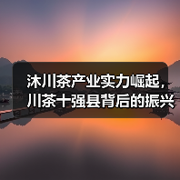 沐川茶产业实力崛起,川茶十强县背后的振兴密码(图2) 沐川茶产业实力崛起,川茶十强县背后的振兴密码(图2)