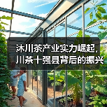 沐川茶产业实力崛起,川茶十强县背后的振兴密码(图1) 沐川茶产业实力崛起,川茶十强县背后的振兴密码(图1)