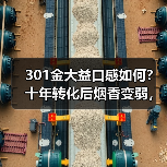 301金大益口感如何?十年转化后烟香变弱,长期价值如何?(图4) 301金大益口感如何?十年转化后烟香变弱,长期价值如何?(图4)