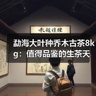 勐海大叶种乔木古茶8kg:值得品鉴的生茶天花板?(图1) 勐海大叶种乔木古茶8kg:值得品鉴的生茶天花板?(图1)