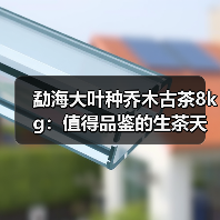 勐海大叶种乔木古茶8kg:值得品鉴的生茶天花板?(图3) 勐海大叶种乔木古茶8kg:值得品鉴的生茶天花板?(图3)