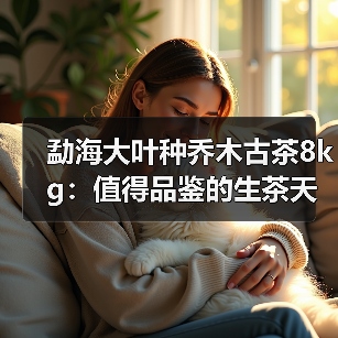 勐海大叶种乔木古茶8kg:值得品鉴的生茶天花板?(图4) 勐海大叶种乔木古茶8kg:值得品鉴的生茶天花板?(图4)