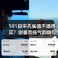 501勐宋孔雀值不值得买?甜香高扬气韵醇厚评鉴(图2) 501勐宋孔雀值不值得买?甜香高扬气韵醇厚评鉴(图2)