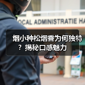 烟小种松烟香为何独特?揭秘口感魅力(图3) 烟小种松烟香为何独特?揭秘口感魅力(图3)