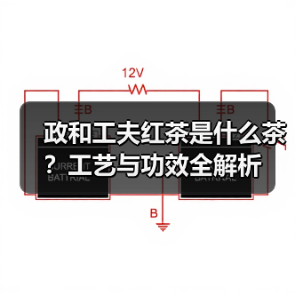 政和工夫红茶是什么茶?工艺与功效全解析(图2) 政和工夫红茶是什么茶?工艺与功效全解析(图2)