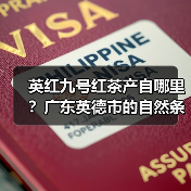 英红九号红茶产自哪里？广东英德市的自然条件打造茶香瑰宝（图1）