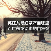 英红九号红茶产自哪里？广东英德市的自然条件打造茶香瑰宝（图3）