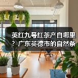 英红九号红茶产自哪里？广东英德市的自然条件打造茶香瑰宝（图4）