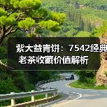 紫大益青饼:7542经典老茶收藏价值解析(图4) 紫大益青饼:7542经典老茶收藏价值解析(图4)