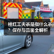 桂红工夫茶是指什么茶?保存与品鉴全解析(图1) 桂红工夫茶是指什么茶?保存与品鉴全解析(图1)