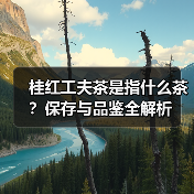 桂红工夫茶是指什么茶?保存与品鉴全解析(图4) 桂红工夫茶是指什么茶?保存与品鉴全解析(图4)