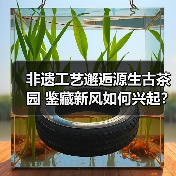 非遗工艺邂逅源生古茶园 鉴藏新风如何兴起?(图4) 非遗工艺邂逅源生古茶园 鉴藏新风如何兴起?(图4)