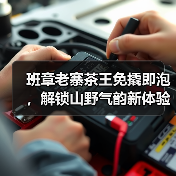 班章老寨茶王免撬即泡,解锁山野气韵新体验(图3) 班章老寨茶王免撬即泡,解锁山野气韵新体验(图3)