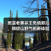 班章老寨茶王免撬即泡,解锁山野气韵新体验(图4) 班章老寨茶王免撬即泡,解锁山野气韵新体验(图4)
