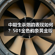 中期生茶烟韵表现如何？501金色韵象黄金版评测（图1）