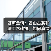 苍洱金饼:名山古茶非遗工艺碰撞,如何演绎茶香传奇?(图1) 苍洱金饼:名山古茶非遗工艺碰撞,如何演绎茶香传奇?(图1)