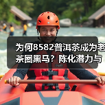 为何8582普洱茶成为老茶圈黑马?陈化潜力与独特特征解析(图2) 为何8582普洱茶成为老茶圈黑马?陈化潜力与独特特征解析(图2)