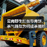 云南野生红丝带青饼,茶气强劲为何成茶圈抢手货?(图1) 云南野生红丝带青饼,茶气强劲为何成茶圈抢手货?(图1)